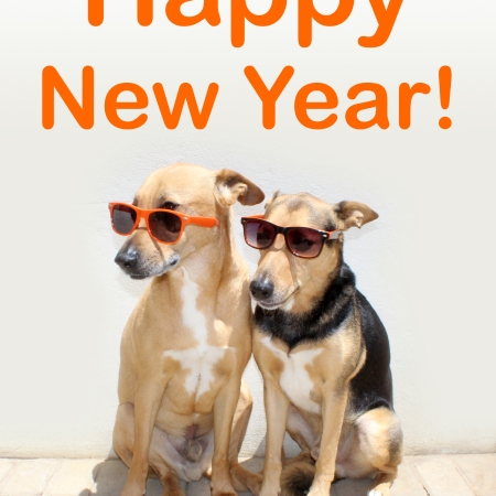 Happy New Year from Starsky and Hutch