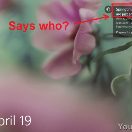 Windows Spotlight features Springtime when it is Autumn in SA April 19 TrulyJuly Says who